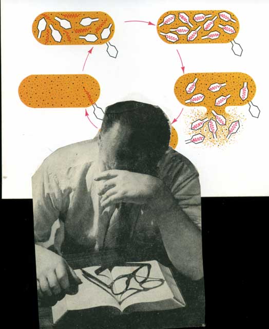 The trap of thought, collage